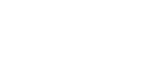 RAM (1)